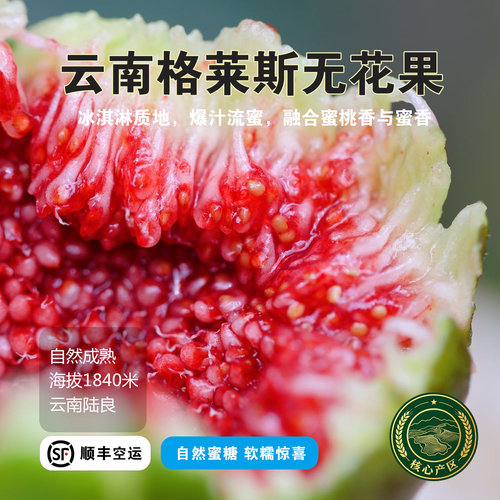 云南格莱斯无花果礼盒完熟空运