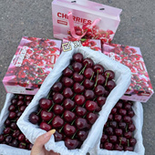 包邮 现货大连车厘子礼盒装 山有琳琅纯甜黑车美早大樱桃高端水果SF