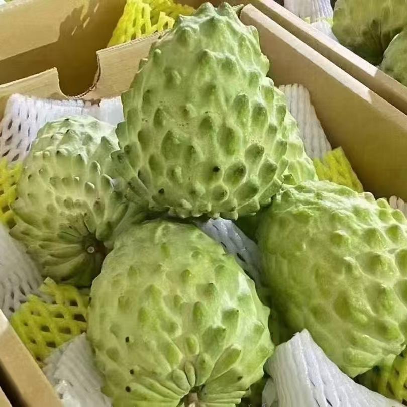 云南释迦果凤梨释迦佛头果大果高甜纯甜当季新鲜水果送礼顺丰包邮