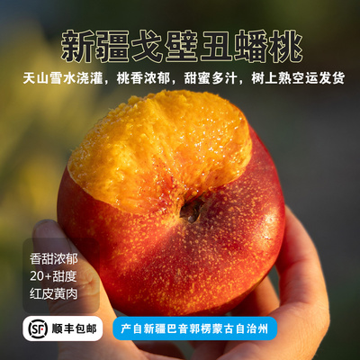 新疆丑蟠桃龙血黄肉油蟠