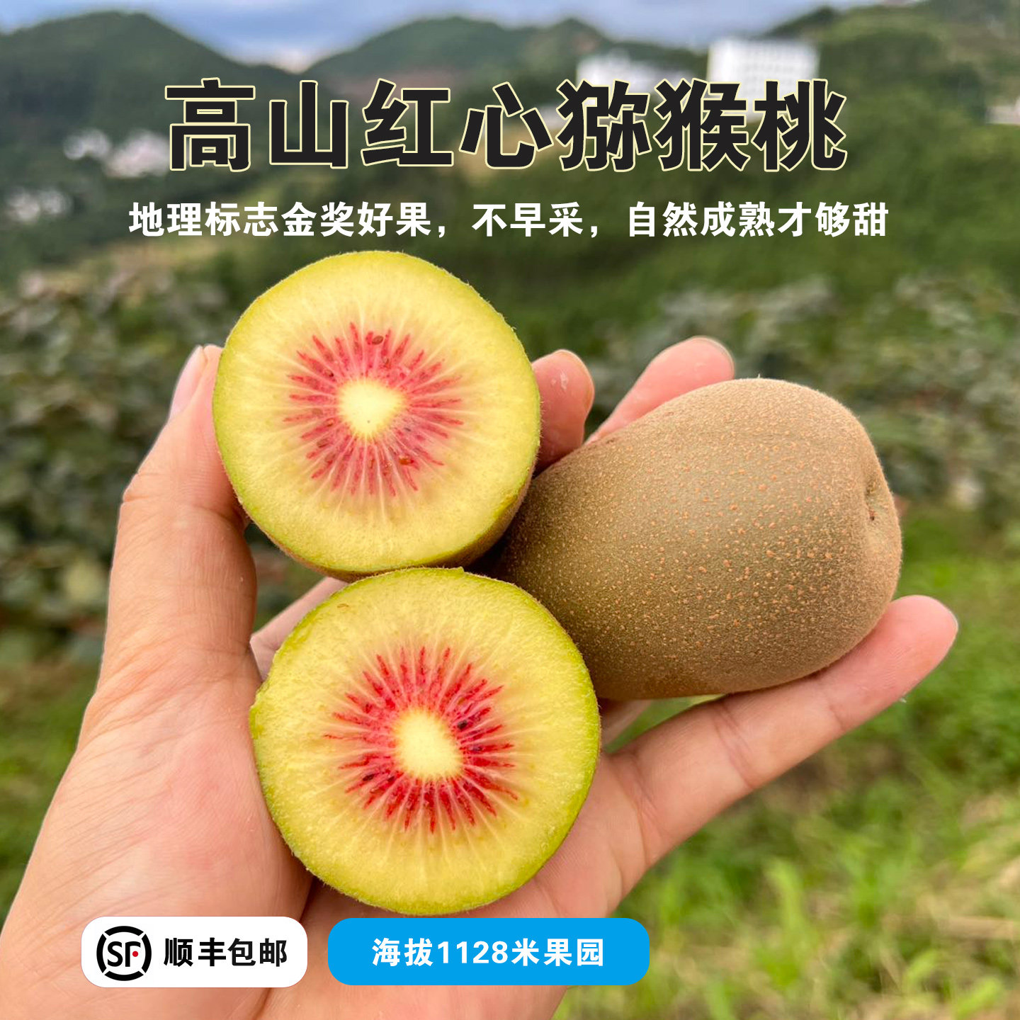 四川红心猕猴桃礼盒装新鲜水果太阳奇异果大果现摘纯甜顺丰包邮