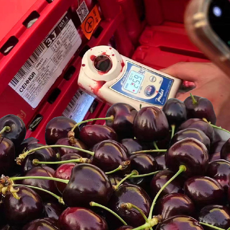 智利三藩santian吉制车厘子4J