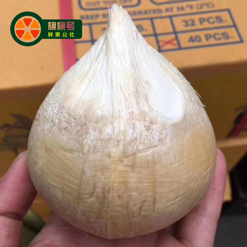 新鲜椰皇6个装无拉环香水椰王新鲜奶香老椰妃新鲜椰汁果顺丰包邮
