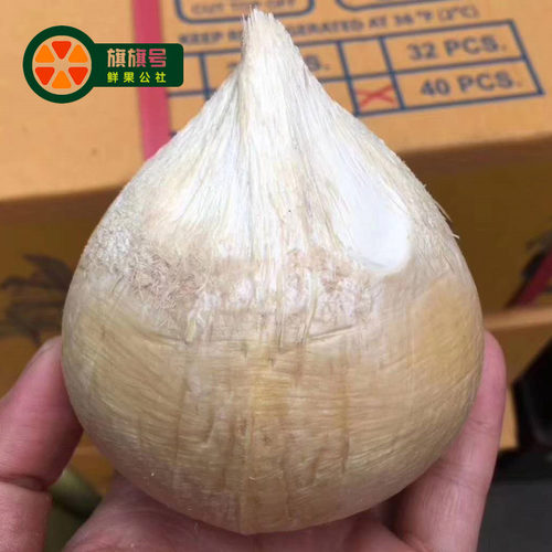 泰国进口椰皇6个装新鲜