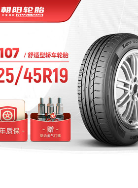 朝阳轮胎 225/45R19乘用车舒适型汽车轿车胎A107静音坚固舒适抓地