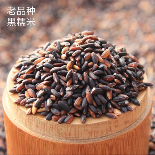 老品种黑糯米农家黑米