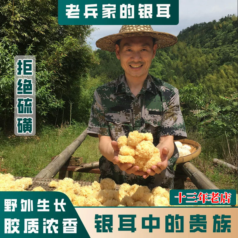 老兵创业椴木小银耳农家野生干货特级无硫磺易糯出胶古田丑白木耳