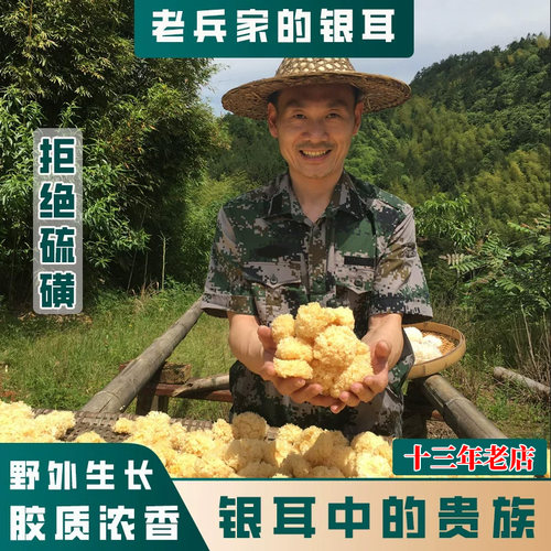 老兵创业椴木小银耳无硫磺超出胶