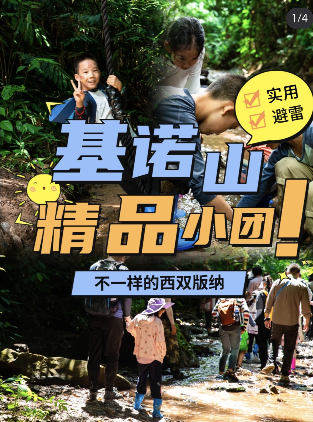 徒步基诺山基诺山雨林徒步