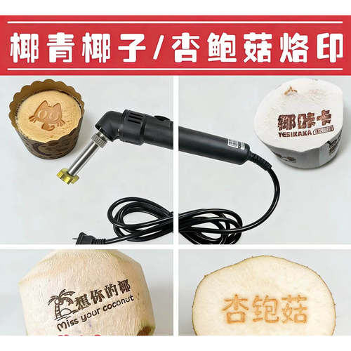 300W可调温烙印机木头铜模定制