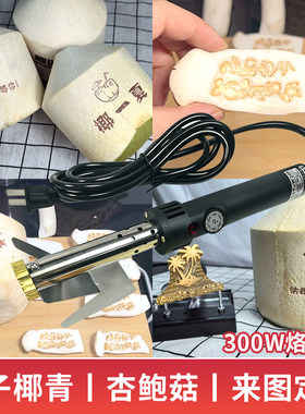 纳祥定制可调温烙印机