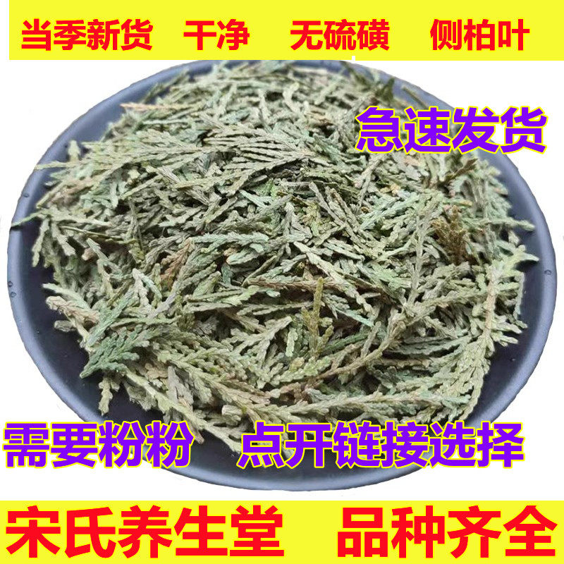 野生侧柏叶 扁柏叶 柏树叶侧柏叶粉500克另售皂角苦丁桑叶何首乌,传统滋补营养品,其他药食同源食品,淘宝优惠券,粉丝福利购,淘宝优惠卷