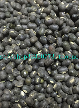 INDIAN FOOD 印度食品 BLACK GARAM DAL Daal mash 格兰姆黑豆
