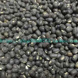 INDIAN FOOD 印度食品 BLACK GARAM DAL Daal mash 格兰姆黑豆