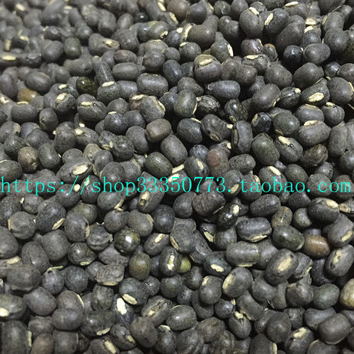 INDIAN FOOD 印度食品 BLACK GARAM DAL Daal mash 格兰姆黑豆