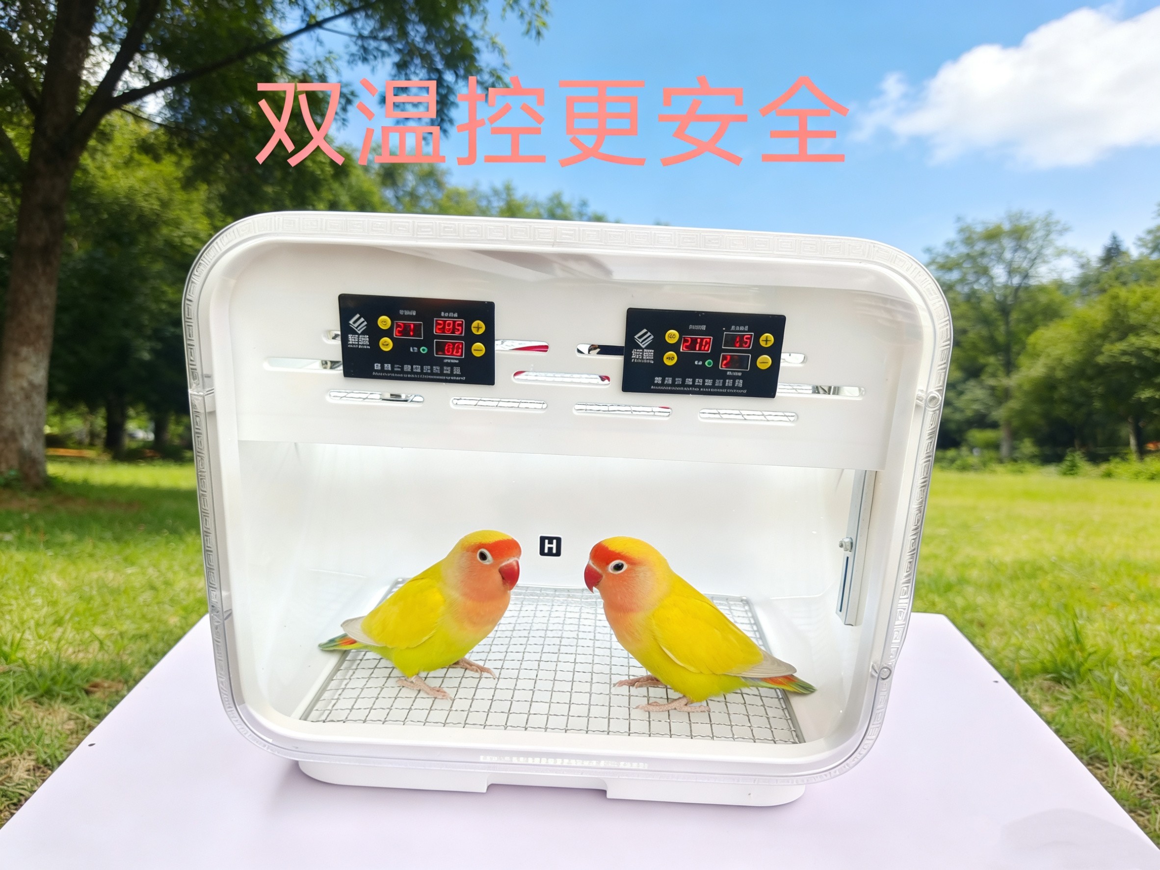 保温箱鹦鹉智能风暖自动恒温幼鸟育雏恒温玄风牡丹虎皮保温窝包邮