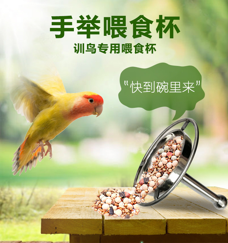 中小型鹦鹉不锈钢训练表演手举杯鸟禽喂食器/喂水器