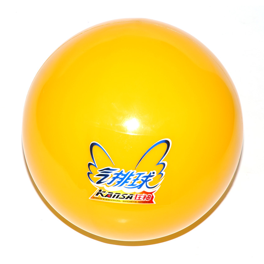 Ballon de volley - Ref 2012501 Image 3