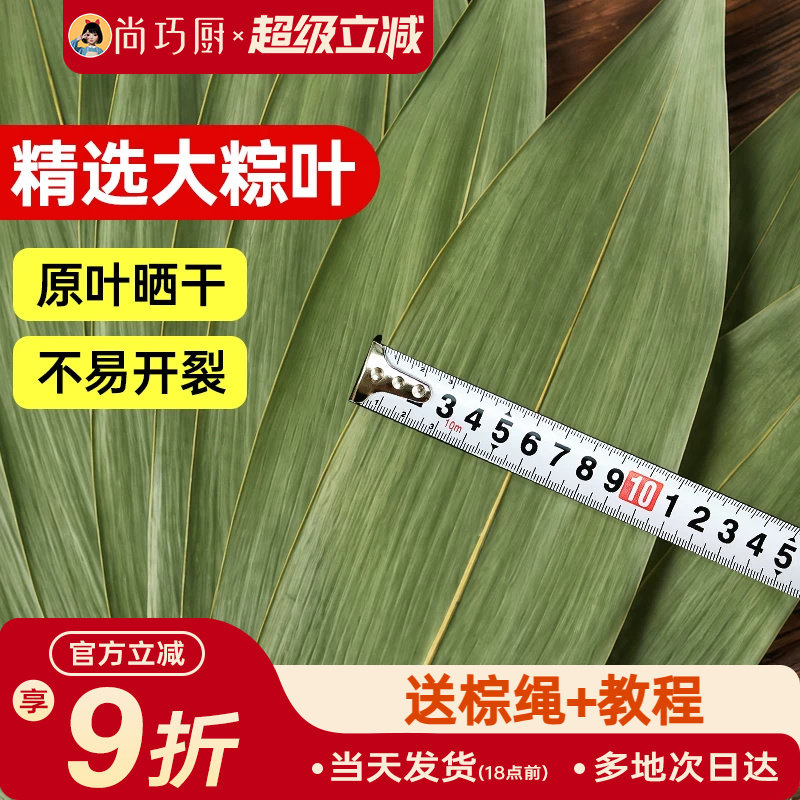 展艺粽子叶干棕叶大号新鲜包粽子新竹叶diy材料端午家用商用批发图片