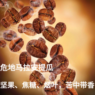 明豆社新鲜中深度慢烘焙 危地马拉安提瓜咖啡豆 SHB水洗手冲和soe