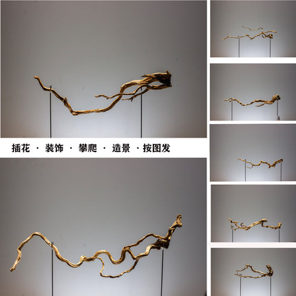 造景装饰树根软装花艺爬宠南美水族造景枯木树根草缸布景组按图发