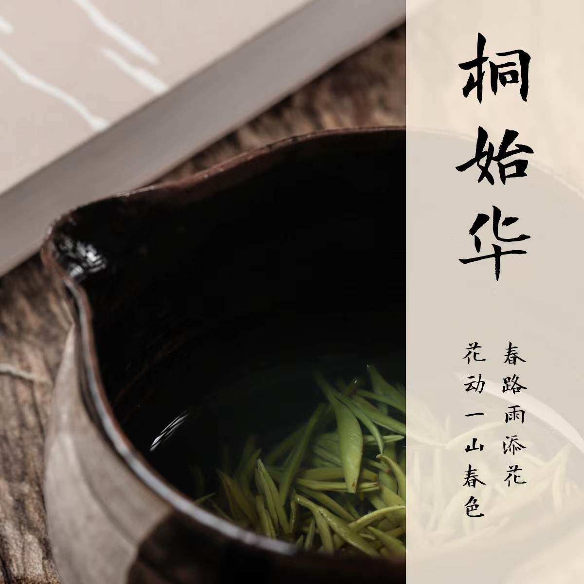 2026【桐始华】元贞茶社信阳毛尖春茶老旱茶群体种雨前早期100克