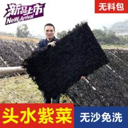 25年新货特级头水紫菜散装无沙免洗野生头茬紫菜干货苍南紫菜汤