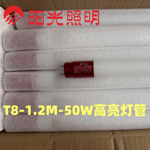 阳光照明LED灯管T8特亮1.2米50瓦白光长条超亮节能灯双端护眼30根