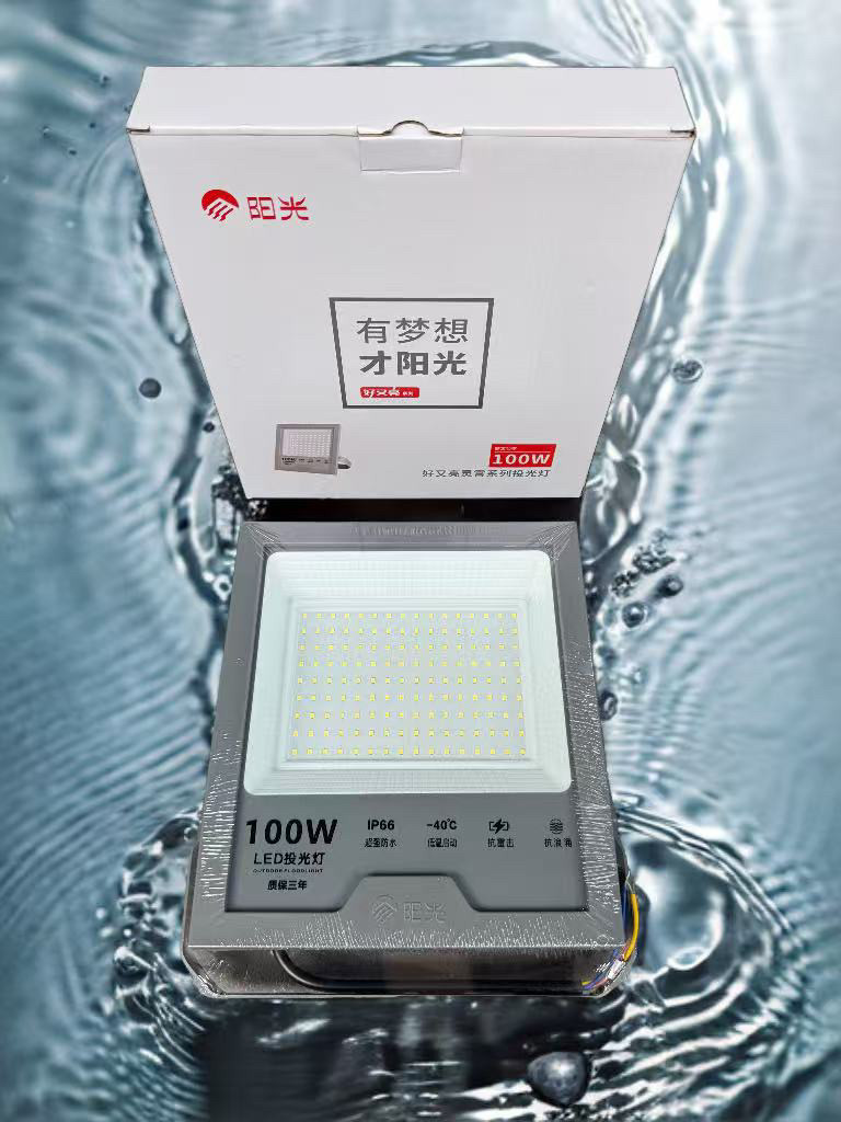 阳光照明LED投光灯泛光灯聚光灯100w射灯户外防水厂房灯白光10个