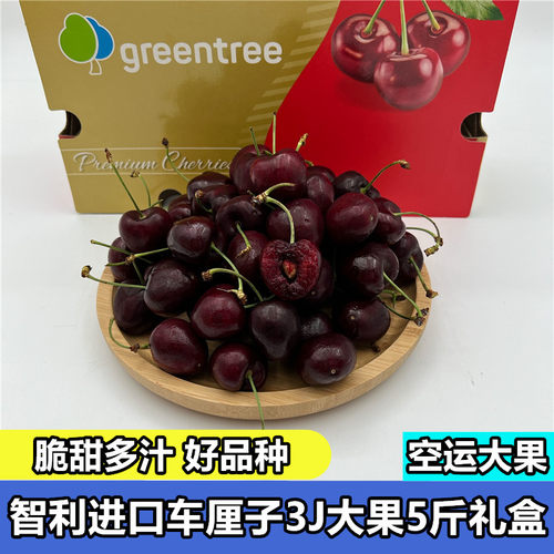 智利车厘子5斤礼盒原装