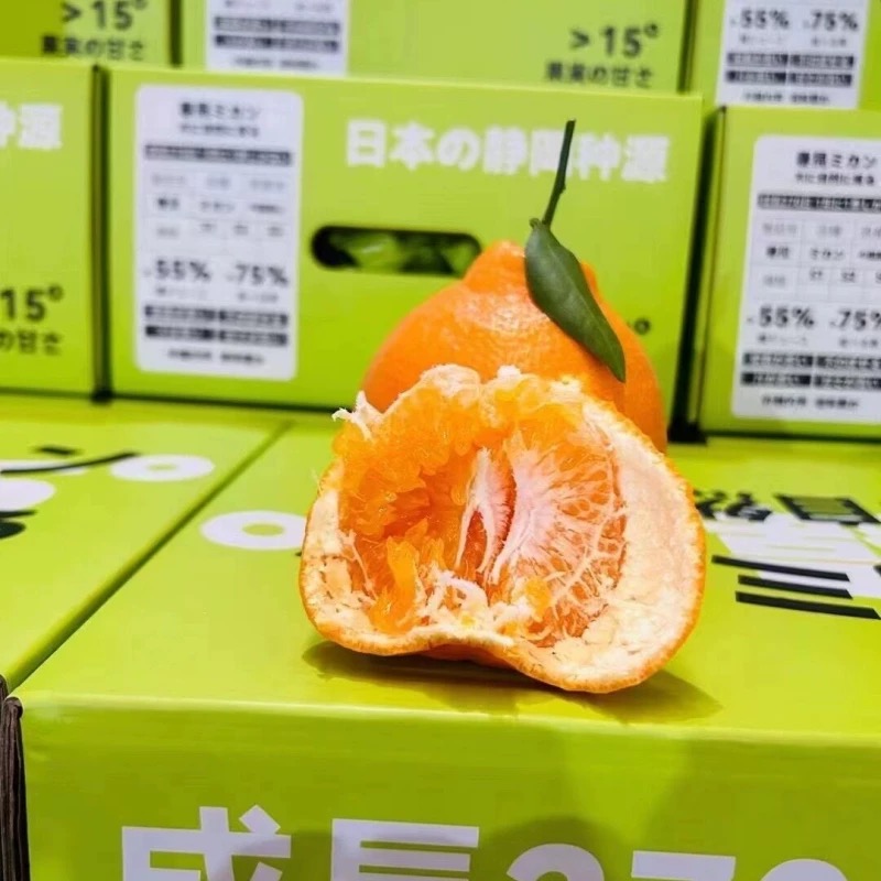 正宗大雅柑春见粑粑柑整箱礼盒装