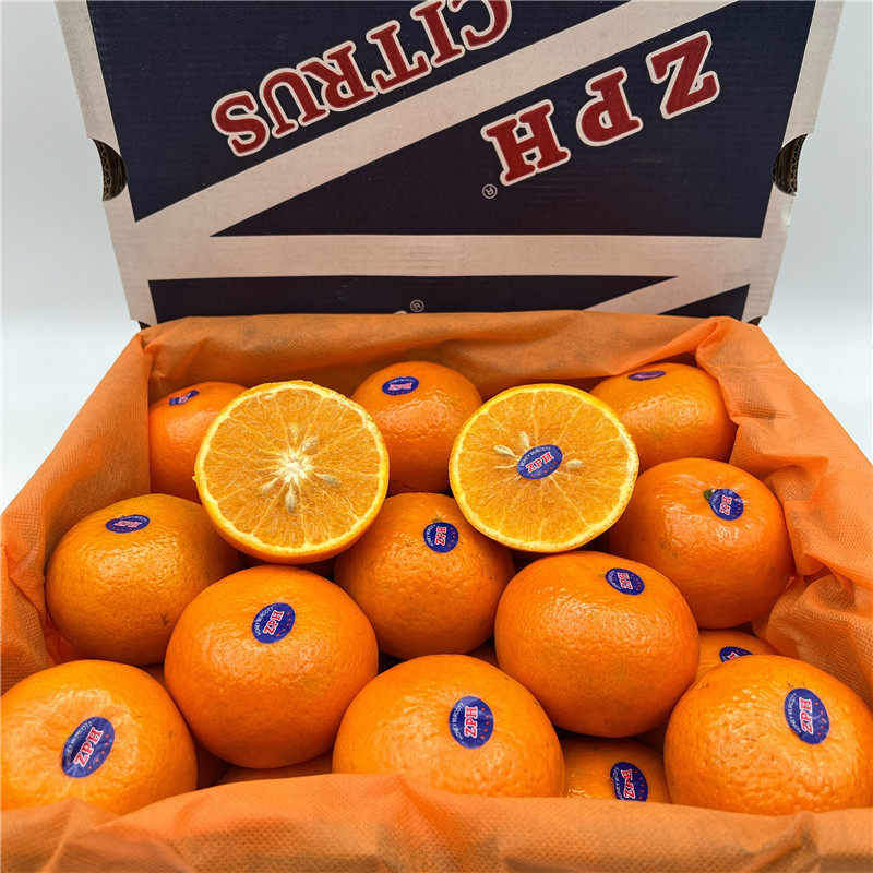 正宗2ph沃柑礼盒装整箱8斤大果新鲜柑橘澳橘柑平现摘蜜桔贡柑包邮,水产肉类/新鲜蔬果/熟食,桔子,淘宝优惠券,粉丝福利购,淘宝优惠卷