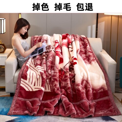 新款拉舍尔双层加厚毛毯
