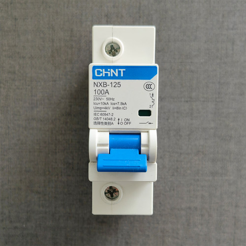 正泰NXB-125小型断路器 配电箱总开1P100A NXB-125 1P C100断路器