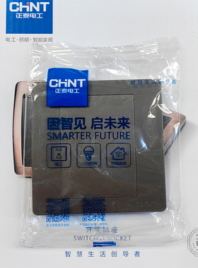 正泰深灰色空白板86型 NEW2G-95106深灰色空白板 填空件 墙壁白板