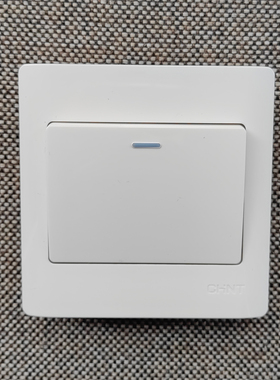 正泰开关面板86型插座 一联单控开关 一位单开NEW7-W00100A面板