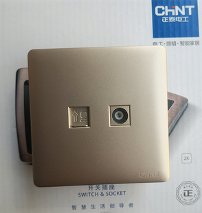 大板香槟金 N21202电脑电视一体面板 正泰电脑电视面板86型 NEW2