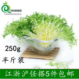 狗牙菜沙拉菜250g 江浙沪任搭5斤 苦叶生菜 包邮 苦叶 新鲜蔬菜