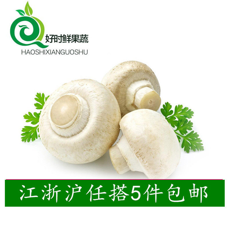 新鲜蘑菇 小白菇 白蘑菇 口菇  食用菌菇 500g江浙沪皖5斤包邮