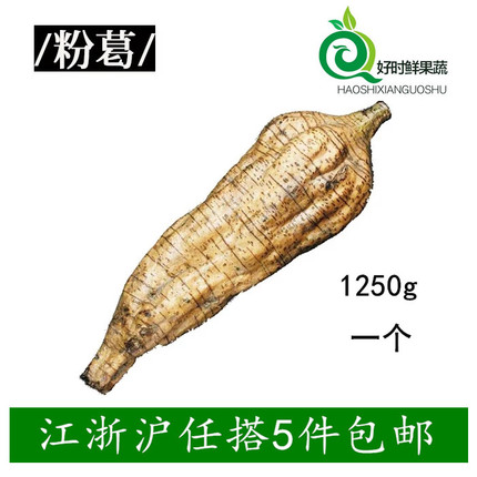 新鲜蔬菜 粉葛 无渣葛根 煲汤佳品 约1250g 江浙沪5件包邮