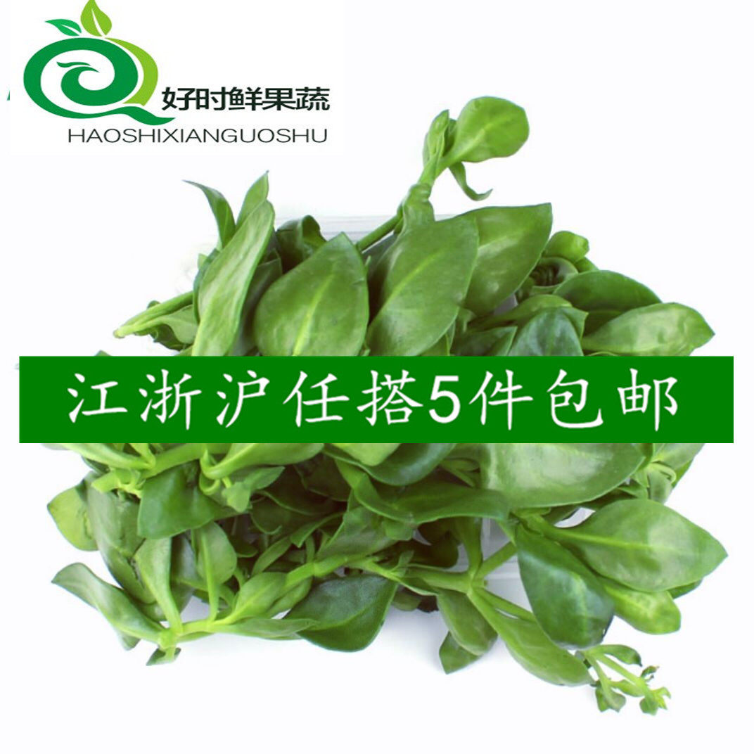 新鲜蔬菜 田七叶 穿心菜 田七 时鲜蔬菜500g江浙沪皖任搭5件包邮