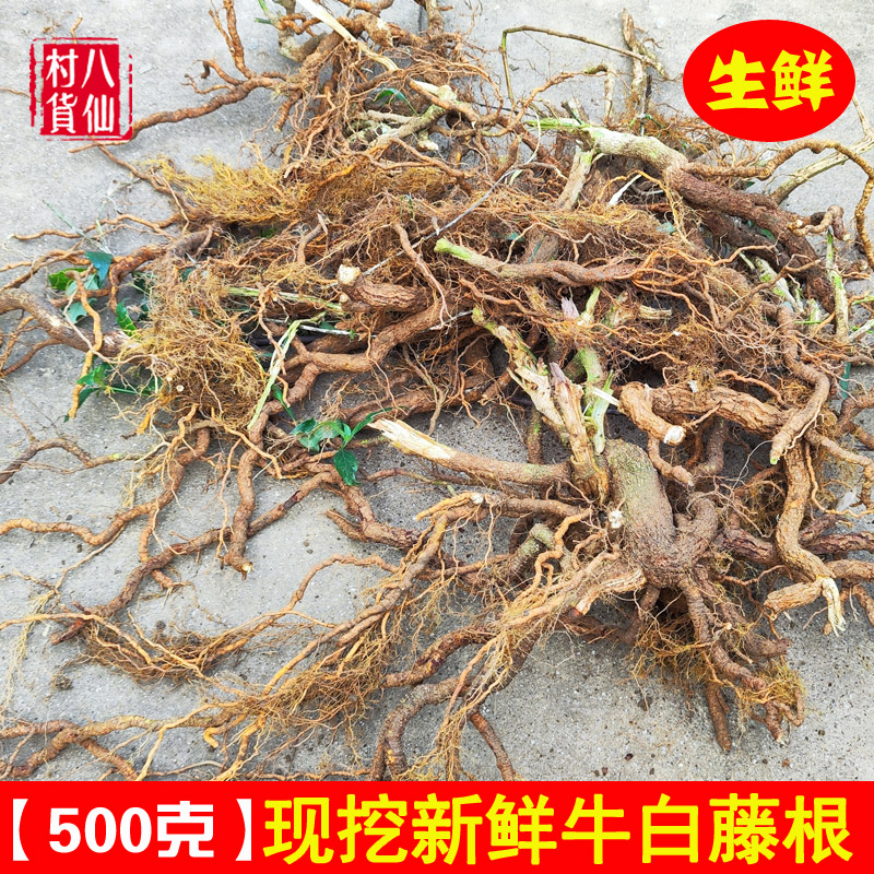现挖牛白藤根 新鲜牛白藤纯根 癍痧藤土加藤根 凉茶藤根 脚白藤根