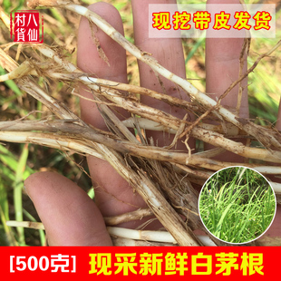 白茅根 新鲜带皮茅草根 甜草根 中草药凉茶竹蔗芦根茅根 包邮