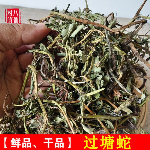 新鲜新货过塘蛇中草药材