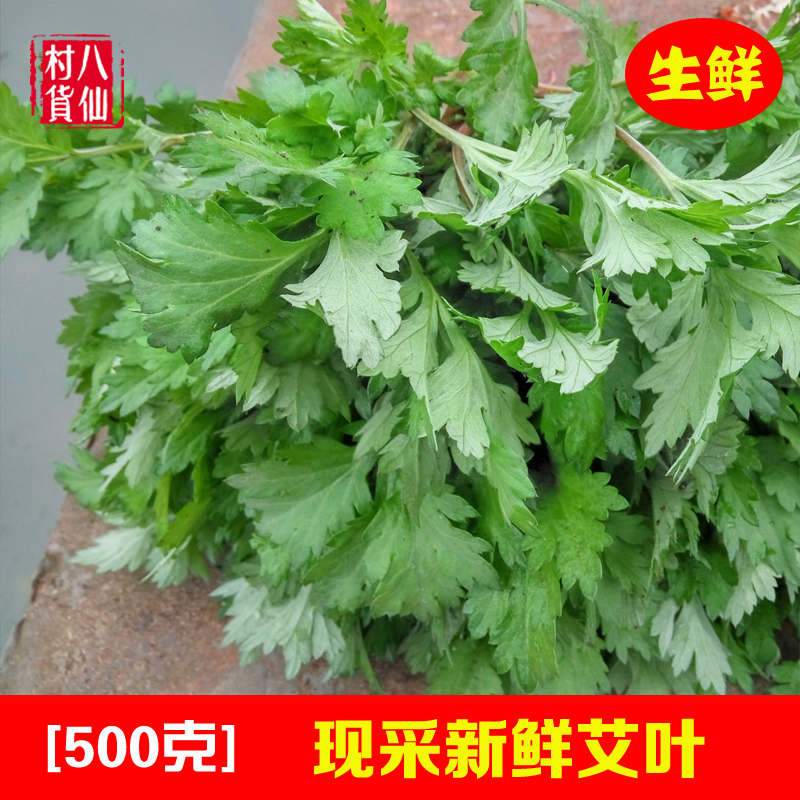 新鲜艾草 艾草叶 中草药艾叶草苗 艾叶 艾米果 青团 糍粑菜 包邮