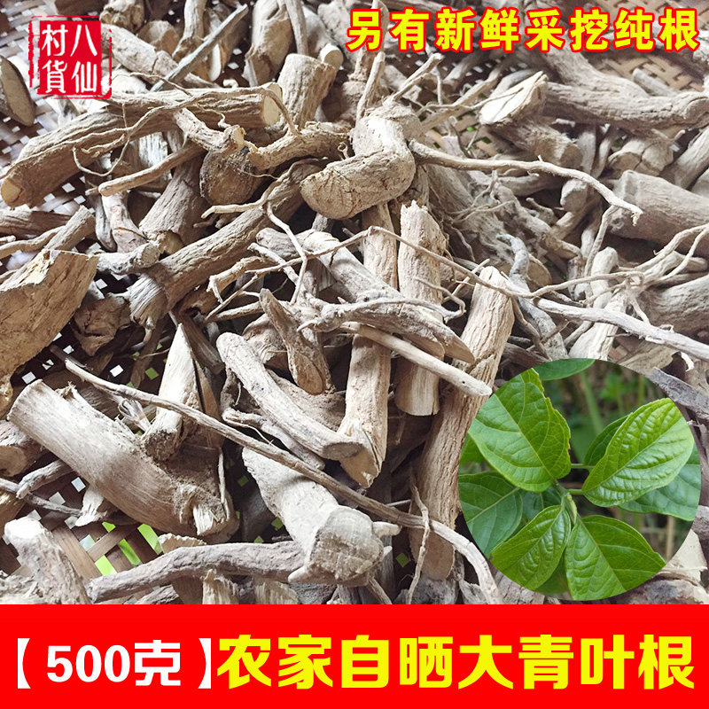 农家自晒大青叶根 新鲜路边青根 臭大青根 中草药臭树根 500g包邮
