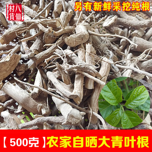 农家新晒大青叶根 新鲜野生路边青根 臭大青根 中草药臭树根 包邮