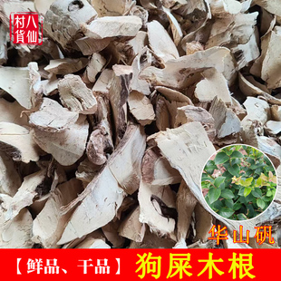 新晒野生华山矾根 新鲜土常山 狗屎木根 中草药华灰木 地黄木纯根