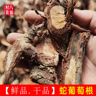 农家自晒蛇葡萄根 新鲜野葡萄根 山葡萄根 中药材蛇葡萄纯根干品