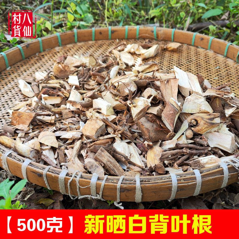 新晒白背叶根 中药材白小娘纯根白意根新鲜白背根白朴树根 白娘仔